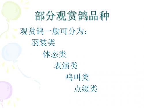 部分观赏鸽品种