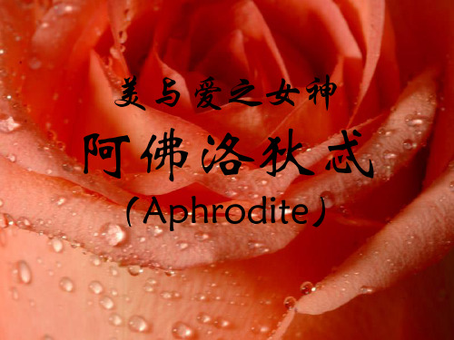 希腊罗马神话之阿芙洛狄特
