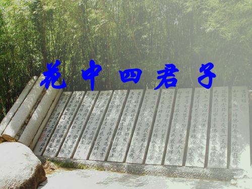梅兰竹菊