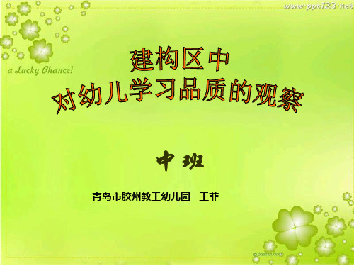 幼儿园中班案例分享-学习品质观察