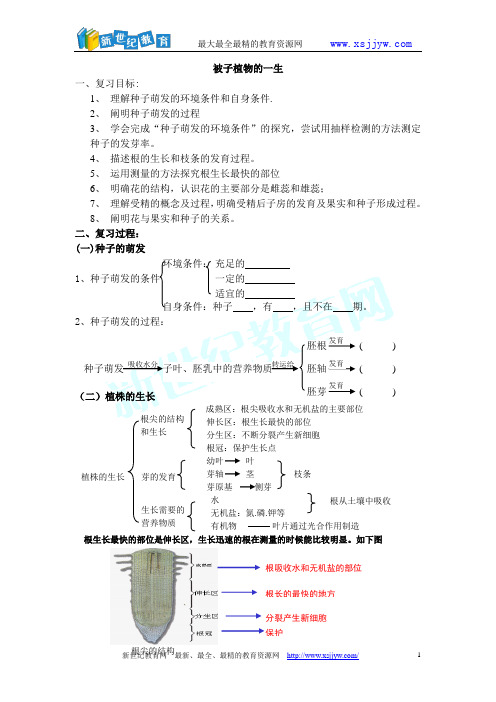 被子植物的一生复习学案(1)
