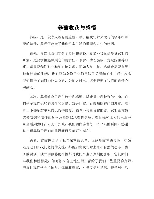 养猫收获与感悟