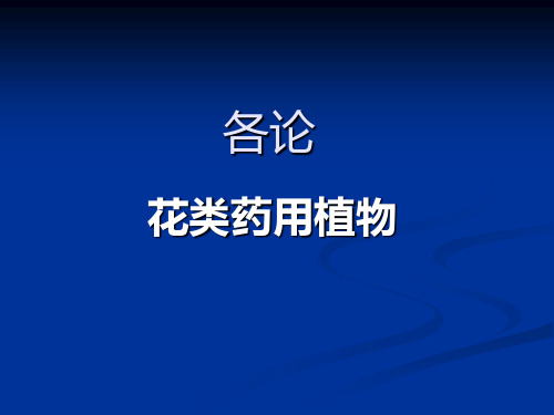 红花Microsoft PowerPoint 演示文稿