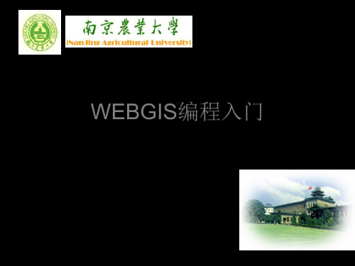 WEBGIS编程入门 46页PPT文档