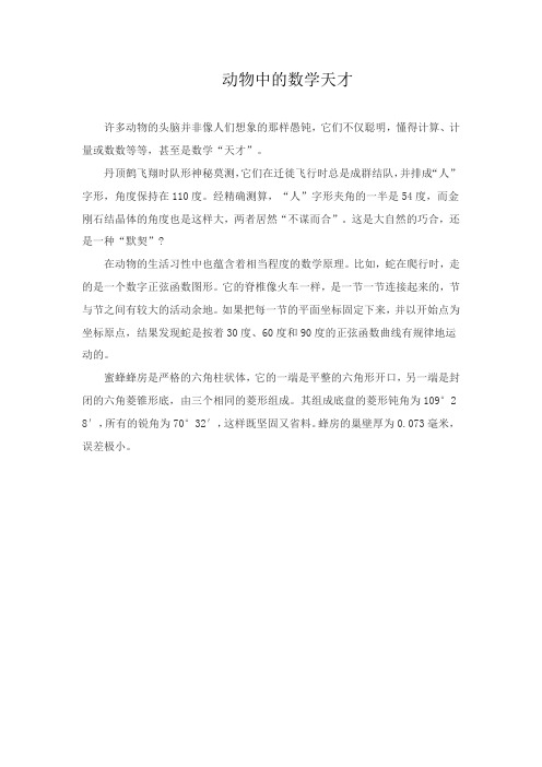 动物中的数学天才