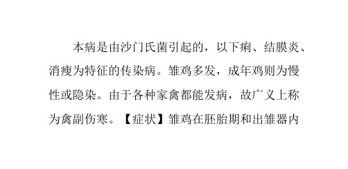 鸡副伤寒的症状与防治