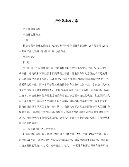 产业化实施方案