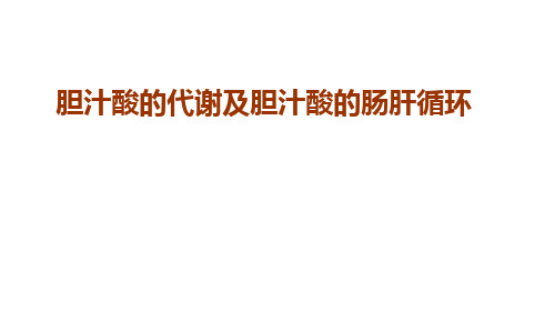 5-胆汁酸的代谢及胆汁酸的肠肝循环