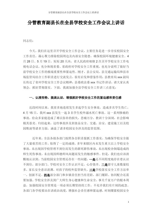 分管教育副县长在全县学校安全工作会议上的讲话