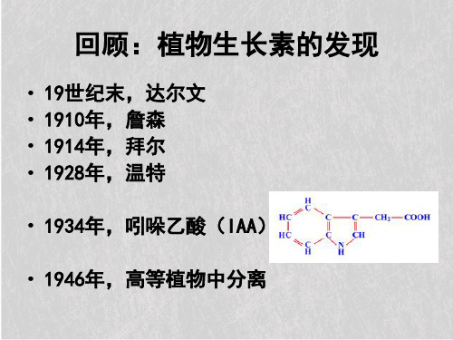 人教版高中生物必修三第3章第2节 生长素的生理作用  课件(共54张PPT)