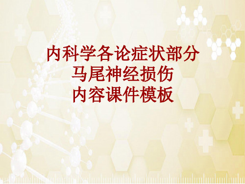 内科学_各论_症状：马尾神经损伤_课件模板