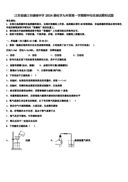 江苏省靖江市靖城中学2024届化学九年级第一学期期中综合测试模拟试题含解析