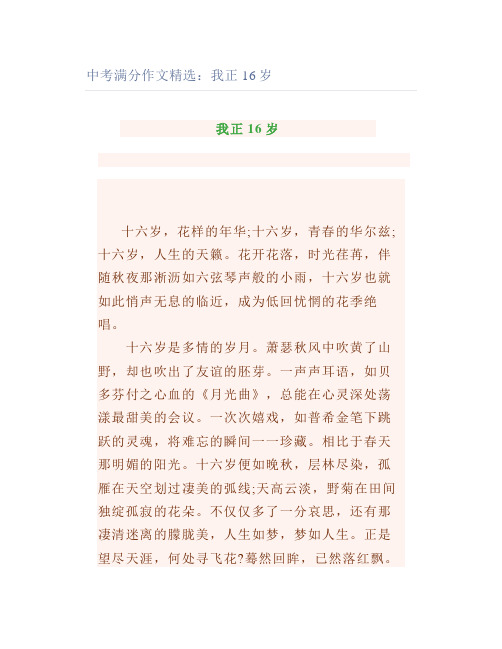 中考满分作文精选我正16岁