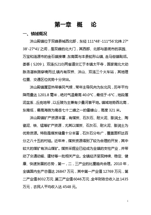 双峰县洪山殿镇总体规规模论证110823