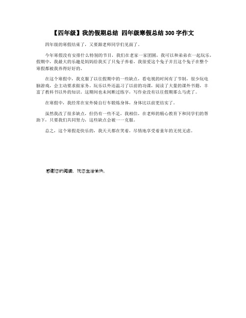 【四年级】我的假期总结 四年级寒假总结300字作文