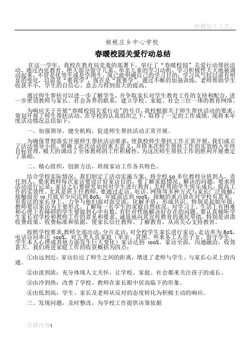 核桃庄乡中心学校春暖校园关爱行动总结