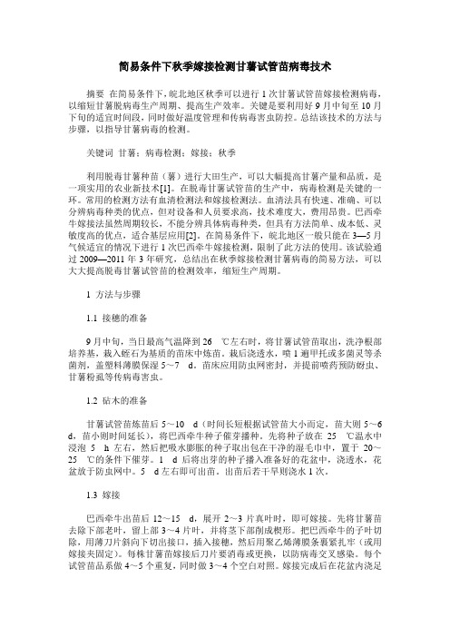 简易条件下秋季嫁接检测甘薯试管苗病毒技术