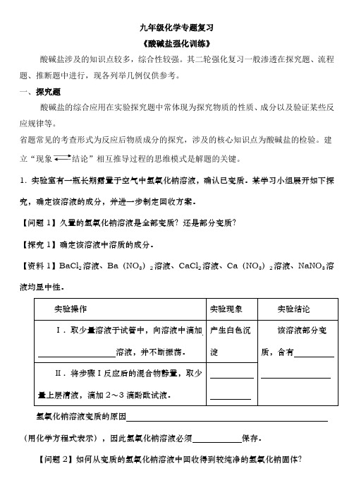 人教版九年级化学专题复习《酸碱盐强化训练》