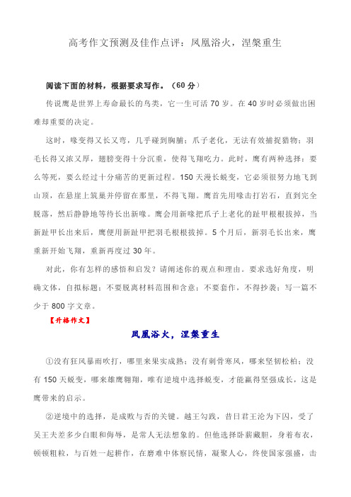 高考作文预测及佳作点评：凤凰浴火,涅盘重生