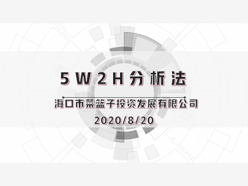 5W2H-分析法