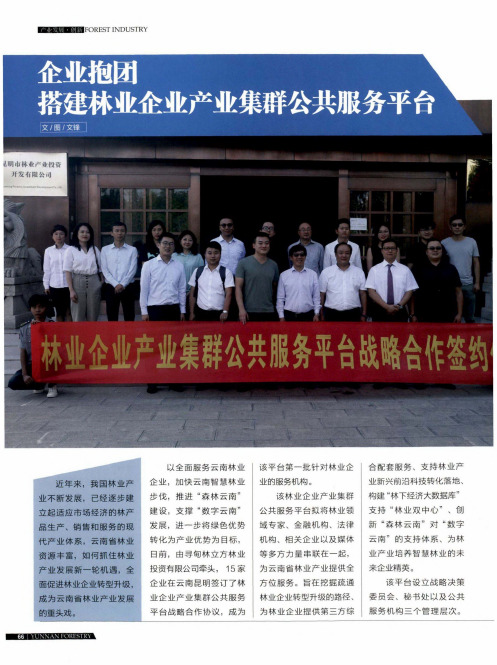企业抱团 搭建林业企业产业集群公共服务平台