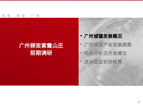 广州梯面紫霞山庄前期调研报告