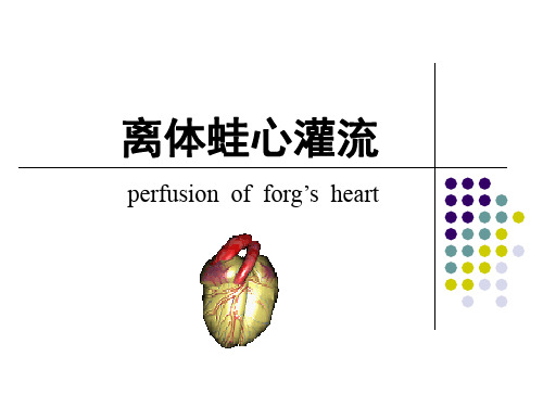 蛙心灌流