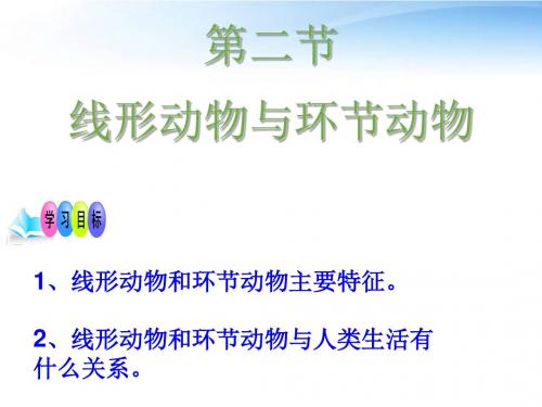 5.1.2线形动物和环节动物(共29张PPT)
