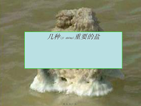 九年级科学上册 1.6 几种重要的盐课件浙教级上册自然科学课件