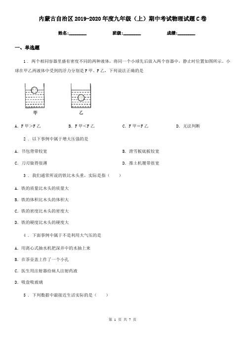 内蒙古自治区2019-2020年度九年级(上)期中考试物理试题C卷