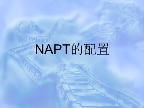 实验4--NAPT
