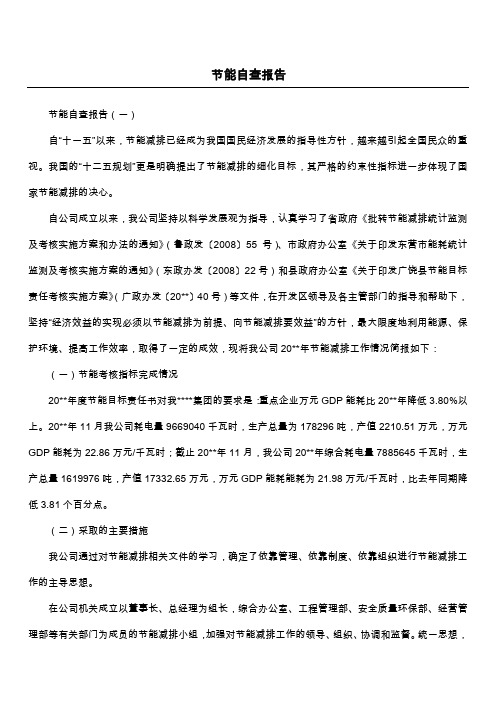 节能自查报告