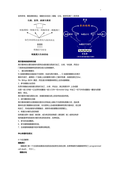 信号传导,基因调控表达,细胞生命活动(增殖,分化,衰老