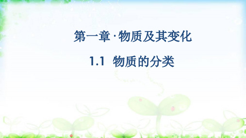第一章· 物质及其变化1.1  物质的分类