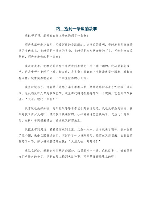路上捡到一条鱼的故事