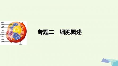 步步高浙江专用2017届高考生物二轮复习专题二细胞概述课件