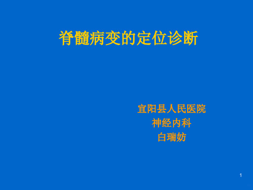 脊髓病变的定位诊断PPT课件