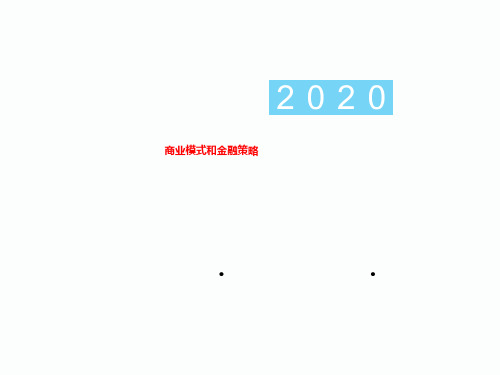 商业模式和金融策略