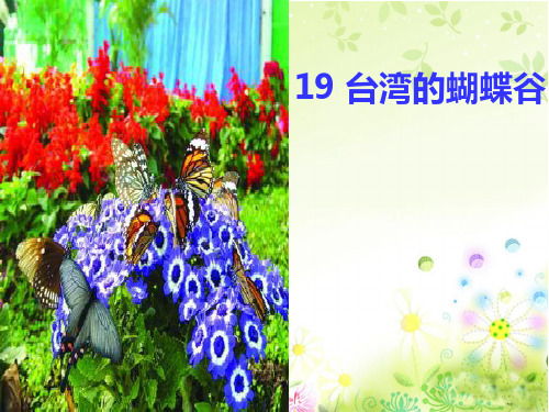 苏教版小学语文二年级下册《台湾的蝴蝶谷》PPT