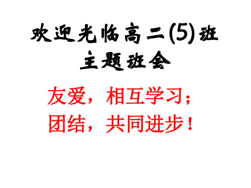 团结合作班会《友爱,互相学习;团结,共同进步》PPT课件