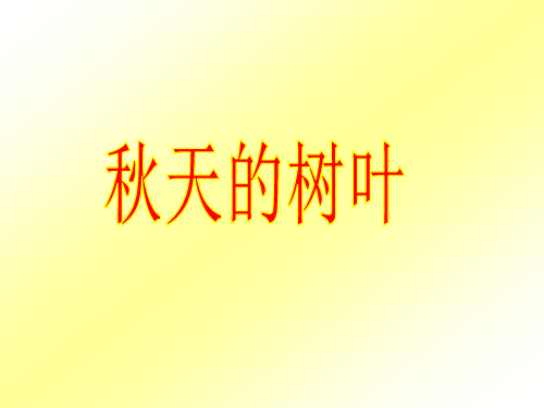 秋天的树叶