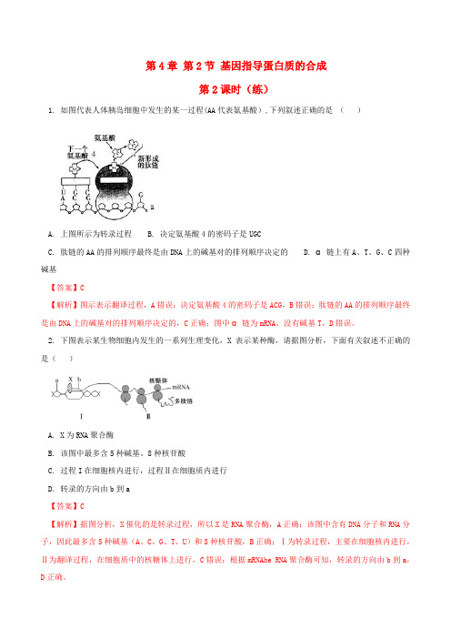 高中生物第四章基因的表达4.1基因指导蛋白质的合成第2课时练含解析新人教版