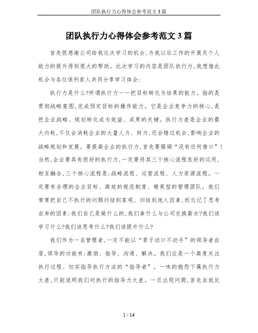 团队执行力心得体会参考范文3篇