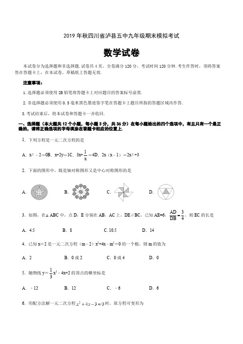2019年秋四川省泸县五中九年级期末模拟考试数学试题