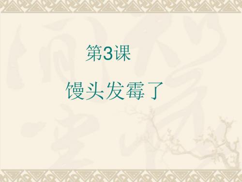 3、馒头发霉了PPt