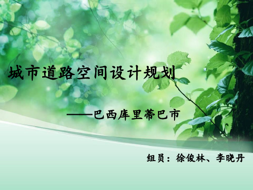 库里蒂巴   快速公交系统
