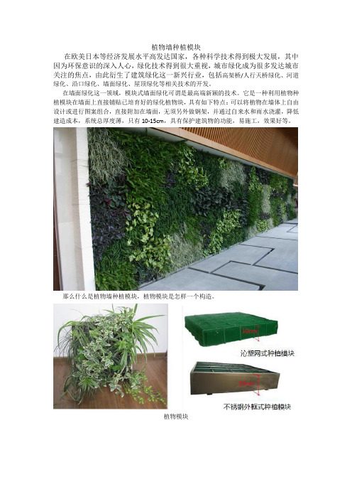 植物墙种植模块