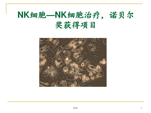 NK细胞疗法PPT课件