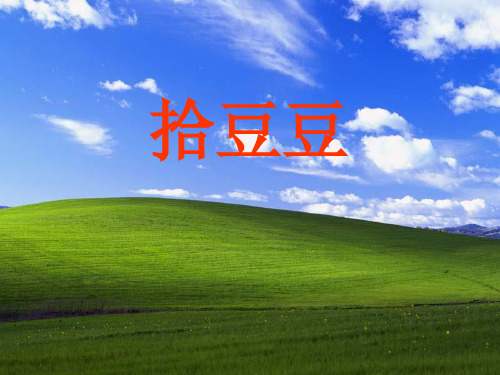 《拾豆豆》PPT课件