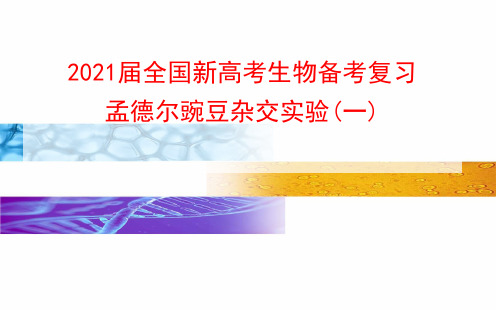 2021届全国新高考生物备考复习 孟德尔豌豆杂交实验(一)